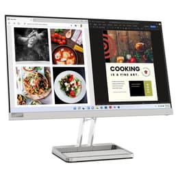 21-inch Lenovo L24I-40 1920 x 1080 LED Monitor Cinzento