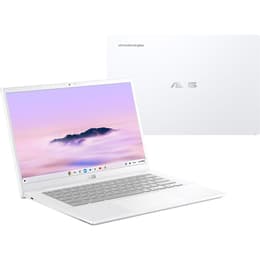 Asus Chromebook Plus Core i3 2 GHz 256GB SSD - 8GB QWERTY - Espanhol